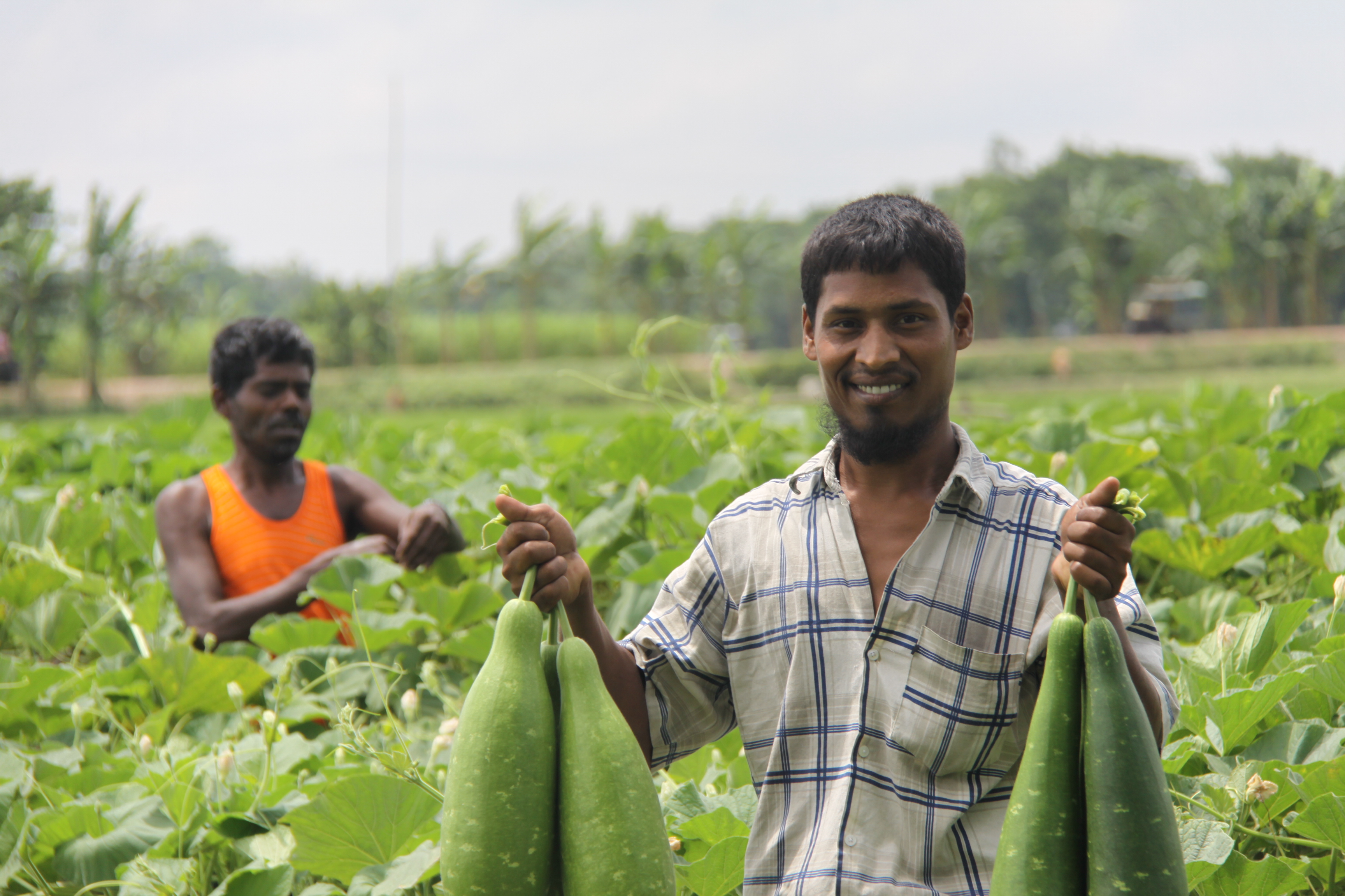 Large Number of Workforce