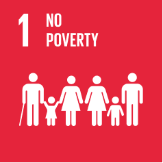 SDG 1