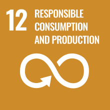 SDG 1