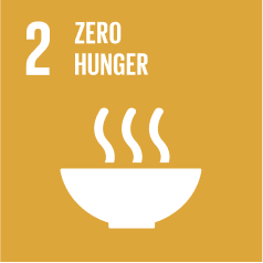 SDG 1